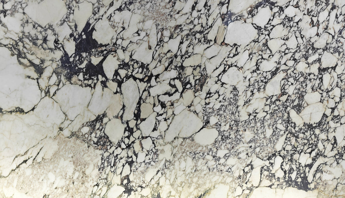 Calacatta Viola marble slab — catalogue material reference