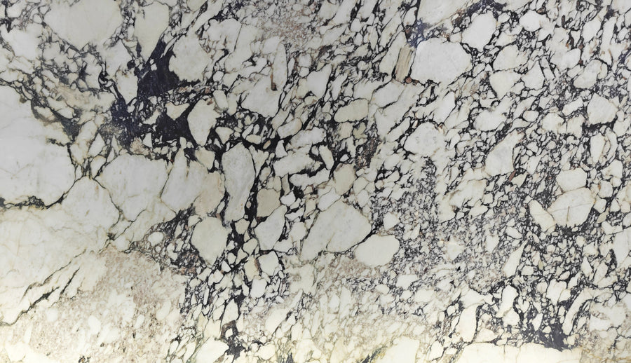 Calacatta Viola marble slab — catalogue material reference