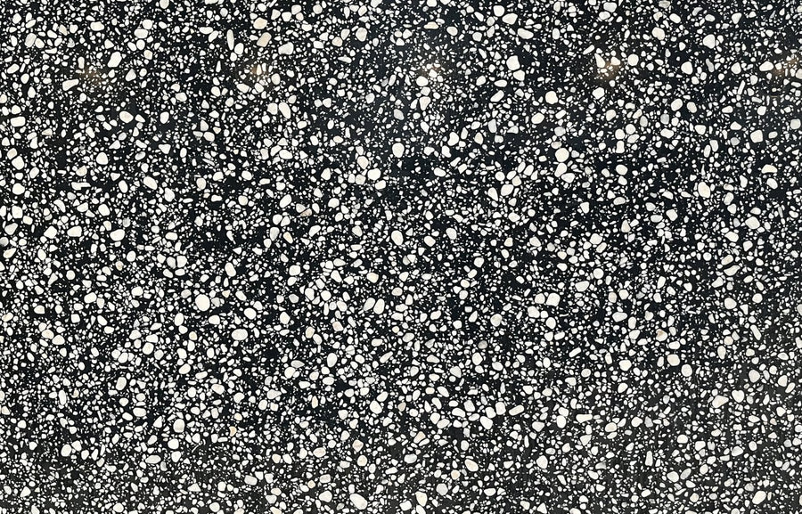 Black Inorganic Terrazzo with with White Particles