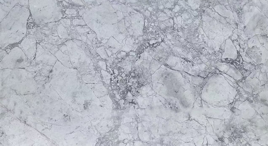 Super White Quartzite Slab